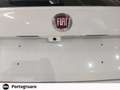 Fiat Tipo 5 Porte 1.0 T3 Cross Bianco - thumbnail 15