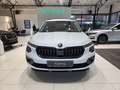 Skoda Kamiq Tour 1.0 TSI DSG #AHK #Navi Wit - thumbnail 3