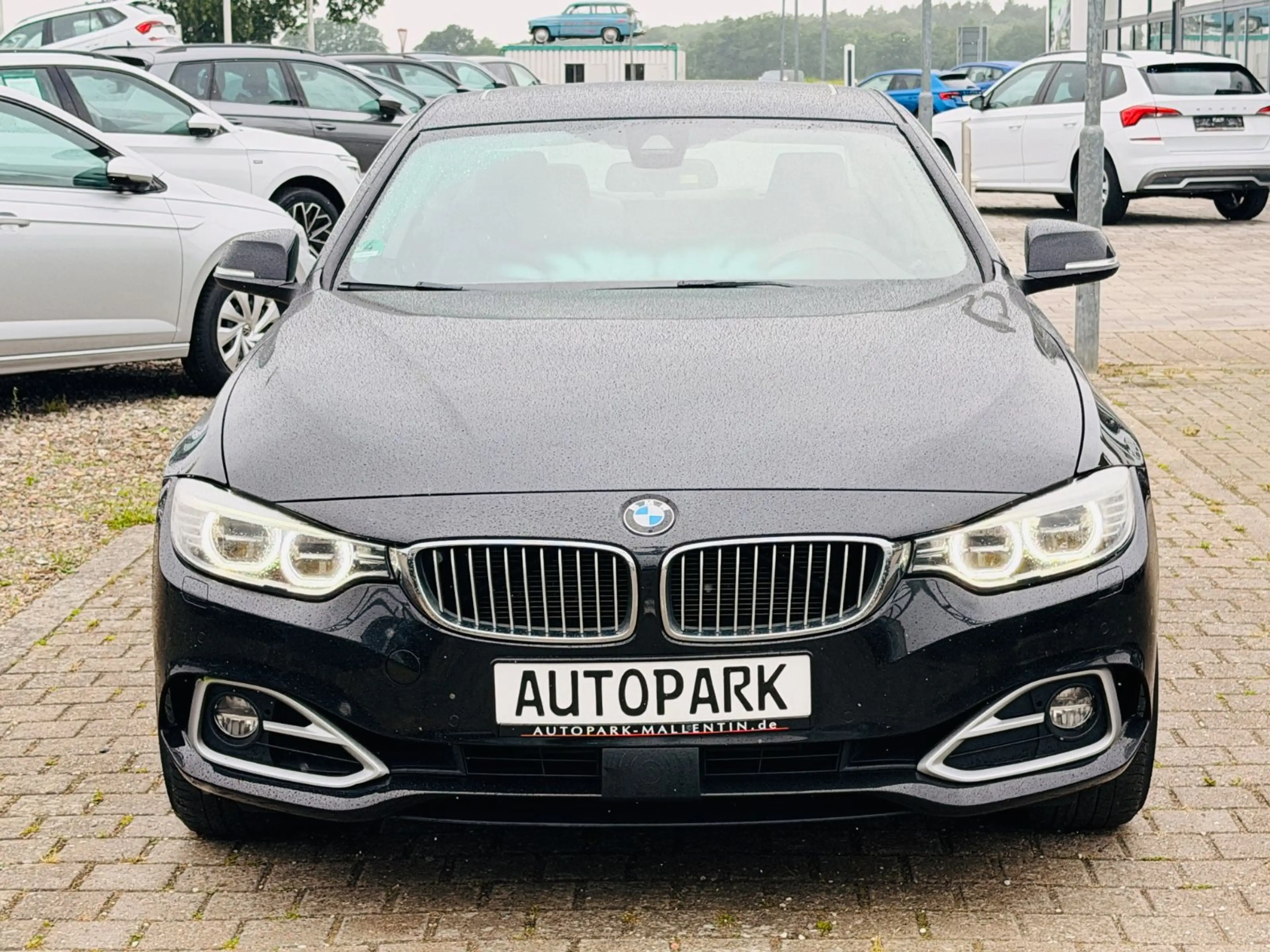 BMW 435 4 Coupe 435 d xDrive *LEDER*HEAD UP*KAMERA* — photo 2