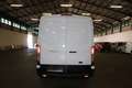 Ford Transit 310L3H2 Basis Kasten Klima DAB+ Weiß - thumbnail 14