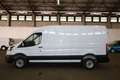 Ford Transit 310L3H2 Basis Kasten Klima DAB+ Weiß - thumbnail 4