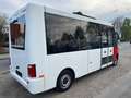 Volkswagen T6 Transporter K-Bus City Weiß - thumbnail 5