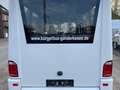 Volkswagen T6 Transporter K-Bus City Weiß - thumbnail 3