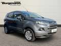 Ford EcoSport Trend 1.0 EcoBoost Klimaanlage - MFL - MP3 Gris - thumbnail 3