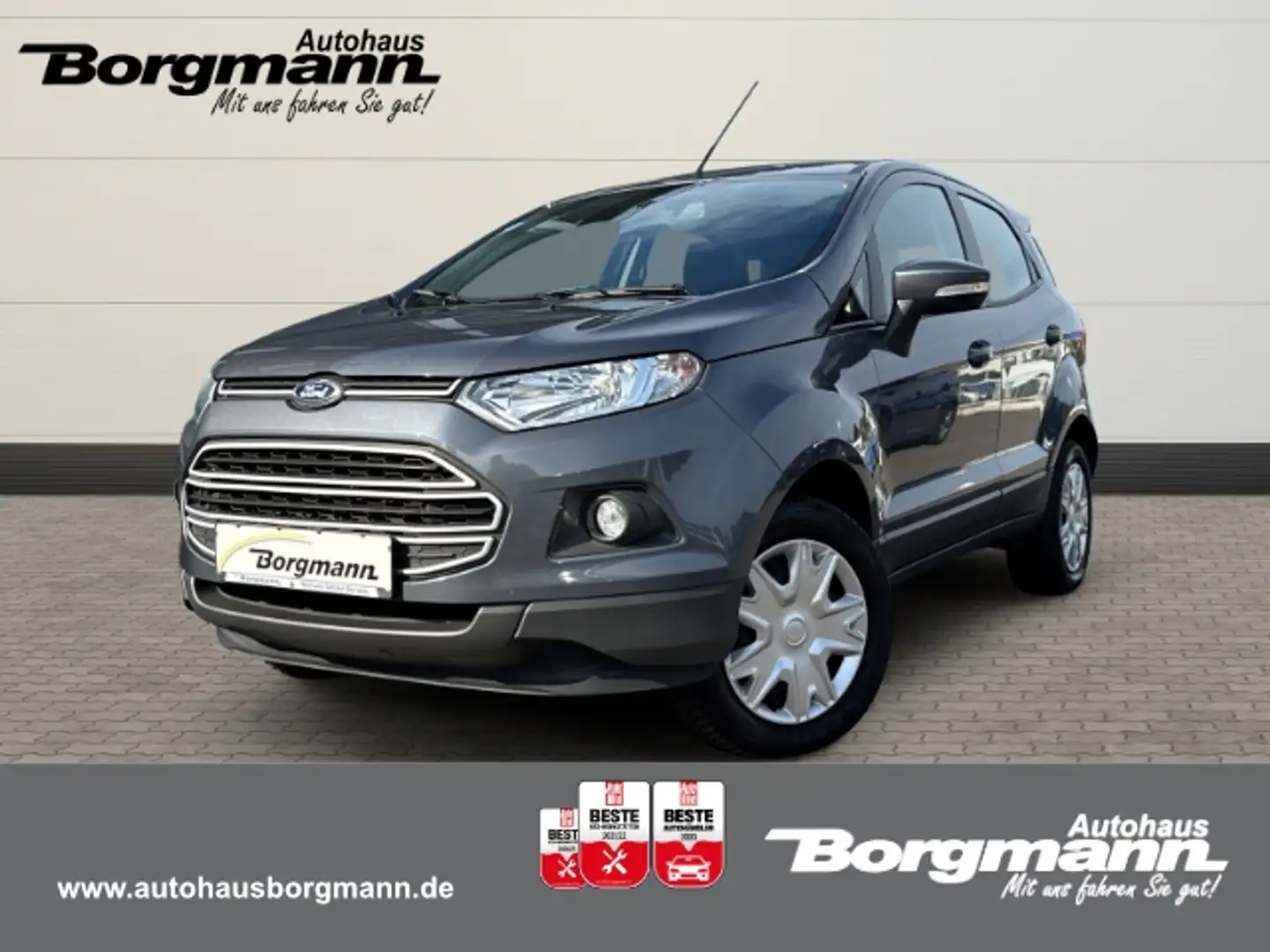 Ford EcoSport Trend 1.0 EcoBoost Klimaanlage - MFL - MP3 Gris - 1