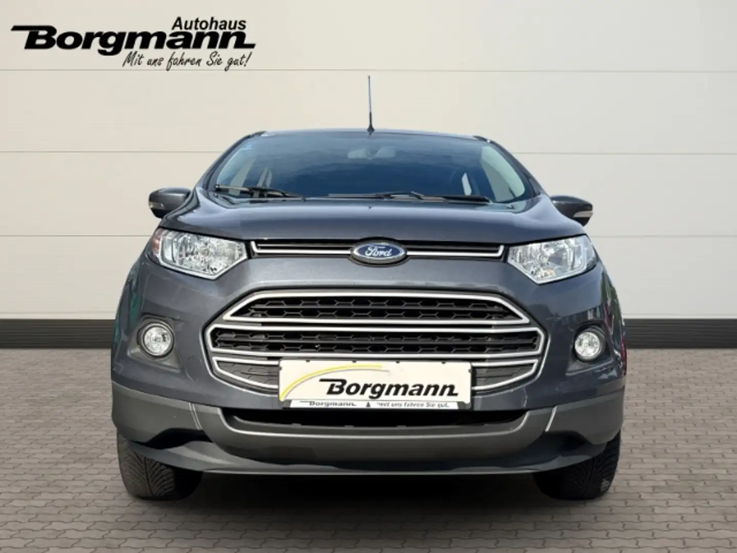 Ford EcoSport Trend 1.0 EcoBoost Klimaanlage - MFL - MP3 Gris - 2