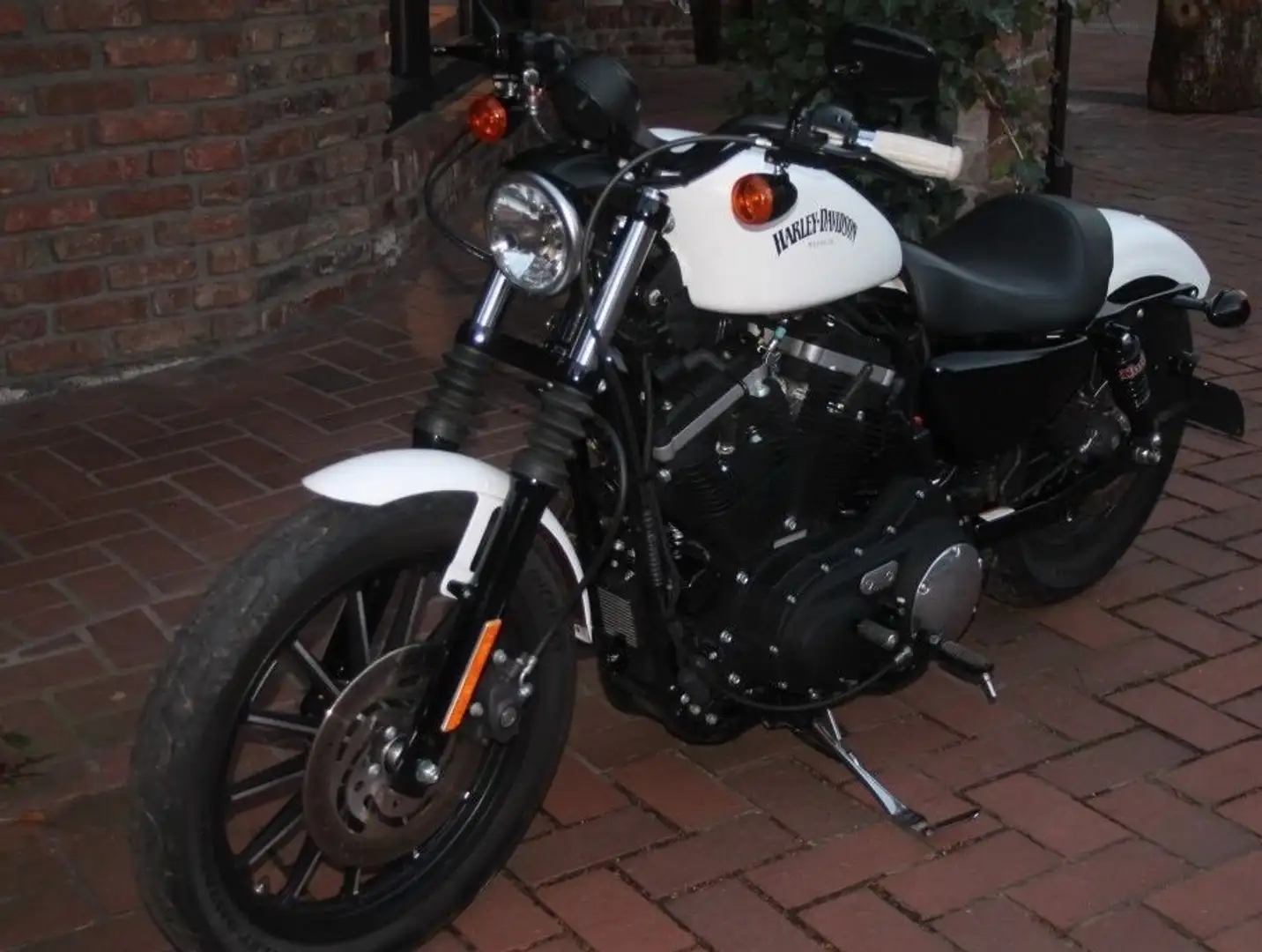 Harley-Davidson Sportster XL 883 N Iron Biały - 2