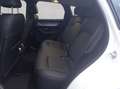 Mazda CX-60 AWD PHEV Aut. HOMURA Weiß - thumbnail 16