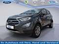 Ford EcoSport 1.0 EcoBoost Titanium Start/Stopp 92 kW (125 PS... Gris - thumbnail 1