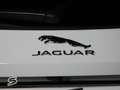 Jaguar F-Pace 2.0 I4 PHEV 404PS AWD Auto Standard HSE Blanco - thumbnail 8