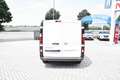 Nissan Primastar van 27 2.0 dci 130cv S&S L1H1 N-Connecta my24 - Weiß - thumbnail 5