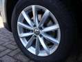 Volkswagen Tiguan 1.4 TSI Lounge Edition|Carplay|Cruise|Cam|Nav|Clim Grau - thumbnail 49