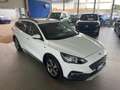 Ford Focus 1.5 EcoBlue 120 CV SW Active Bianco - thumbnail 3