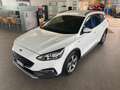 Ford Focus 1.5 EcoBlue 120 CV SW Active Bianco - thumbnail 1