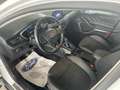 Ford Focus 1.5 EcoBlue 120 CV SW Active Bianco - thumbnail 7