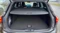 Ford Focus Focus Turnier ST-Line X 155 PS, Styling Paket, LED Gris - thumbnail 13
