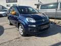 Fiat Panda 1,2 Basis mit PICKERL 07/2026 Blau - thumbnail 18