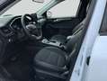 Ford Kuga 2.5 Duratec PHEV TITANIUM X Blanc - thumbnail 7