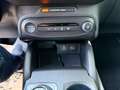 Ford Focus ST LINE X Traveller 1,5EcoBlue Grau - thumbnail 23