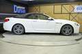 BMW 640 640d Blanco - thumbnail 20