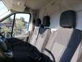 Ford Transit 310 2.0 tdci MHEV 130cv trend L2H2 E6.2 Bianco - thumbnail 11
