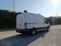 Ford Transit 310 2.0 tdci MHEV 130cv trend L2H2 E6.2 Bianco - thumbnail 2