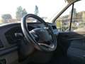 Ford Transit 310 2.0 tdci MHEV 130cv trend L2H2 E6.2 Bianco - thumbnail 10