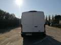 Ford Transit 310 2.0 tdci MHEV 130cv trend L2H2 E6.2 Bianco - thumbnail 4
