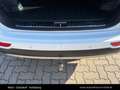 Kia Sportage 2,0 CRDI AWD GT-Line Aut. Weiß - thumbnail 13