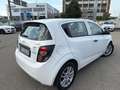Chevrolet Aveo Aveo 2011 1.2 LS 70cv 5p Biały - thumbnail 4