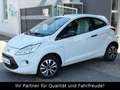 Ford Ka/Ka+ Ambiente 1.HAND*KLIMAANLAGE*START-STOP*TÜV Weiß - thumbnail 1