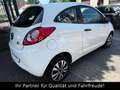 Ford Ka/Ka+ Ambiente 1.HAND*KLIMAANLAGE*START-STOP*TÜV Weiß - thumbnail 5