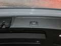Audi RS4 TFSI quattro Matrix LED 360° Kamera Grau - thumbnail 8