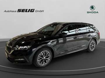 Combi 1.5 DSG Clever, AHK, Beh. Scheibe,