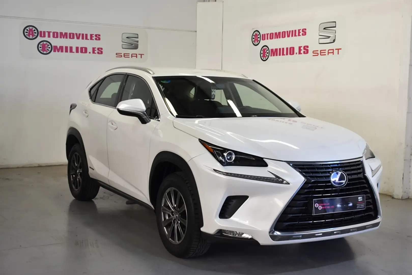 Lexus NX 300 300h Executive 4WD Blanc - 1