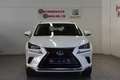 Lexus NX 300 300h Executive 4WD Blanc - thumbnail 3