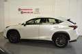 Lexus NX 300 300h Executive 4WD Blanc - thumbnail 5
