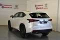 Lexus NX 300 300h Executive 4WD Blanc - thumbnail 4