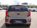 Kia Picanto 1,2 Dream Team Kamera Navi Sitzhz. Grau - thumbnail 6