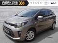 Kia Picanto 1,2 Dream Team Kamera Navi Sitzhz. Grau - thumbnail 1