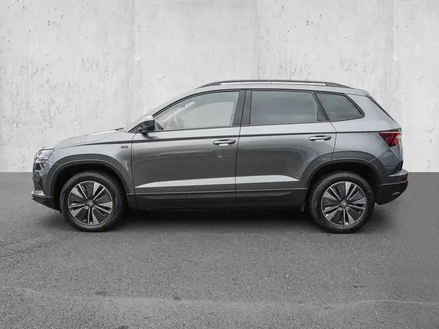 Skoda Karoq view 5