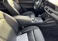 Alfa Romeo Stelvio Stelvio 2017 2.2 t Super Q4 210cv auto - FP126SZ Gris - thumbnail 6