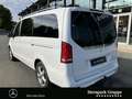 Mercedes-Benz V 250 V 250 d EDITION Lang 10,25"+Burmester+Tot+Spur Weiß - thumbnail 3