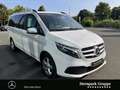Mercedes-Benz V 250 V 250 d EDITION Lang 10,25"+Burmester+Tot+Spur Weiß - thumbnail 5