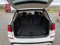 BMW X3 xDrive20d xLine AHK HeadUp HarmanKardon Sportsitze Weiß - thumbnail 17