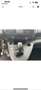 Citroen Berlingo 1.5 BlueHDi M Start S&S Plateado - thumbnail 10