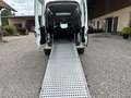 Fiat Doblo SX Maxi XL Kombi Behindertengerecht Weiß - thumbnail 2