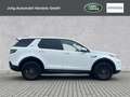 Land Rover Discovery Sport Diesel D180 mit AT Reifen und Schneeflocke Blanc - thumbnail 6