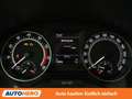 Skoda Fabia 1.0 TSI Monte Carlo Grau - thumbnail 20