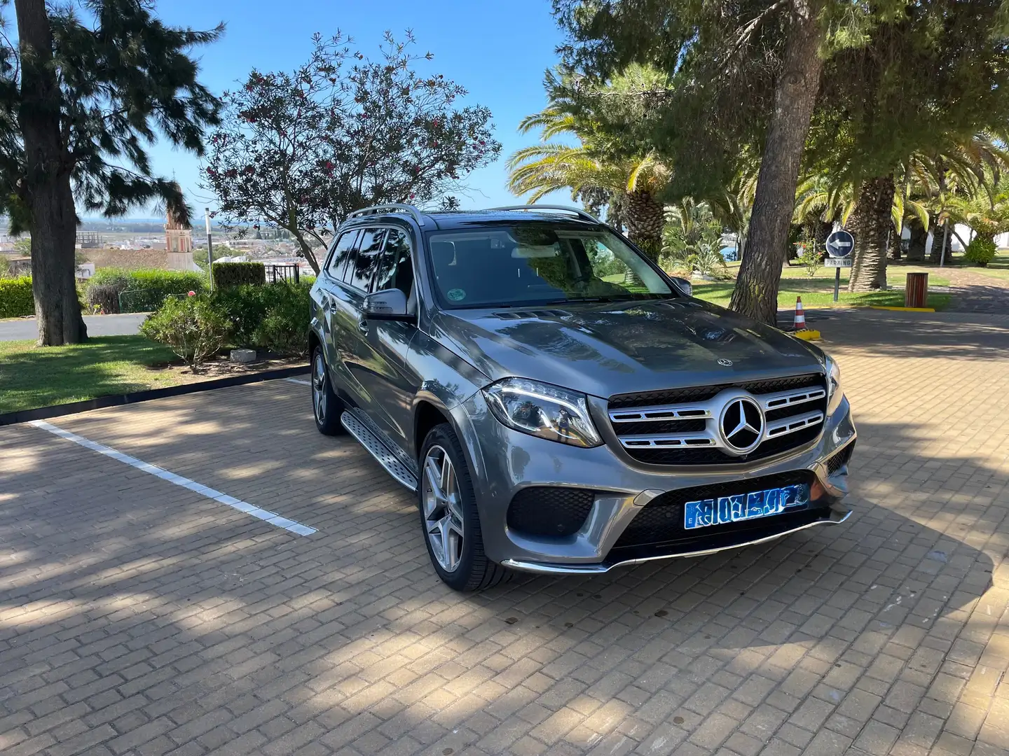 Mercedes-Benz GLS 350 GLS 350d 4Matic Aut. Gris - 2